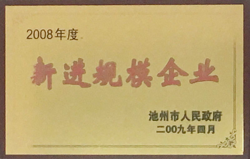 新进规模企业