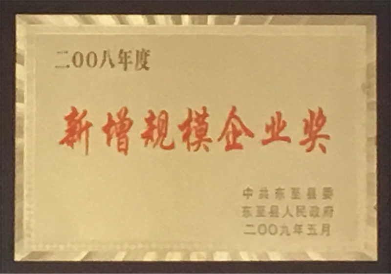 新增规模企业奖